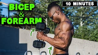 10 MINUTE LIGHTWEIGHT DUMBBELL BICEP amp FOREARM WORKOUT [upl. by Ylenats]