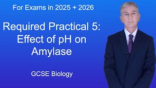 GCSE Biology Revision quotRequired Practical 5 Effect of pH on Amylasequot [upl. by Partridge330]