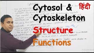 Cytosol and Cytoskeleton in Hindi  Structure  Functions [upl. by Tumer725]