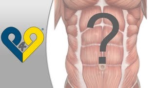 Should abdominals be trained everyday or not [upl. by Thad]