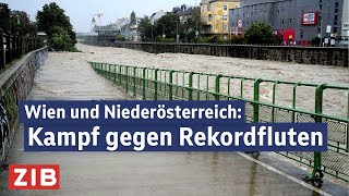 Hochwasser in Wien und Niederösterreich Kampf gegen Rekordfluten  ZIB2 vom 16092024 [upl. by Swart]