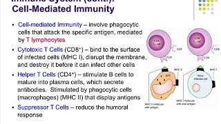 Pathophysiology Ch 10 Alterations in Immune Function [upl. by Bum]