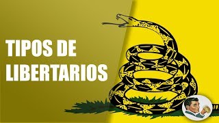 Tipos y Diferencias de Liberales y Libertarios [upl. by Gaskill537]