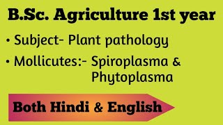 Mollicutes  Plant pathology  BSc Ag 1st year [upl. by Llerryt342]