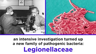 Legionnaires’ Disease Legionella pneumophila [upl. by Chaing704]