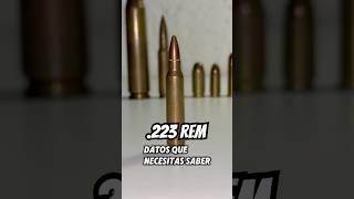 Calibre 223 REM 💥 el favorito de TODOS ✅ [upl. by Kcyred396]