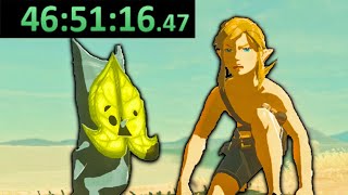 I just completed Breath of the Wilds longest speedrun [upl. by Suivatram108]