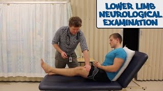 Lower Limb Neurological Examination  OSCE Guide old version  UKMLA  CPSA [upl. by Anivlac]