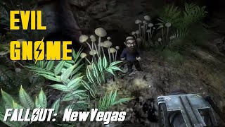 Fallout New Vegas  Fire Root Cavern and Cottonwood Crater  Evil Gnome and Fatman Location [upl. by Heger]