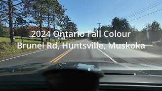 Brunel Road in Muskoka Ontario [upl. by Dorreg704]