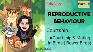 10 Courtship behaviour in Animal world Birds Bower Birds Ethology MSc Zoology explanation [upl. by Ott]