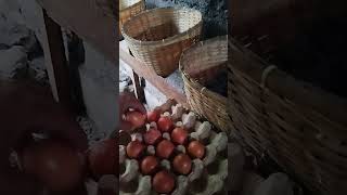 SUNONE ARTISAN nag harvest ng Marans and Legbar Eggs [upl. by Narba641]