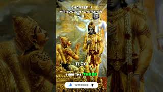 Bhagavad Gita Chapter 11 1120 [upl. by Leroi]