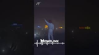 Monolink  Crazy Live set  Return to Oz ARTBAT Remix shorts techno melodictechno 🔥 fyp [upl. by Fianna777]