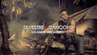 Un Amor Verdadero Silvestre Dangond amp Rolando Ochoa  Letra Oficial [upl. by Adel]