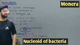 Nucleoid Structure And Functions  Bacteria  Class 11 Biology [upl. by Diaz]