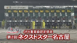 【第2回 ネクストスター名古屋 重賞】2024 1029 名古屋競馬場 [upl. by Alidus148]