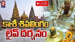 Kashi Vishwanath Darshan 🔴LIVE  కాశీ శివ లైవ్ దర్శనం  Kasi Live  RTV [upl. by Cristabel]