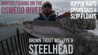 Fishing for Brown Trout Steelhead and Walleye on the Oswego River [upl. by Eilyk]