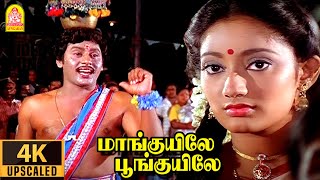 Maanguyilae 4K Video Song மாங்குயிலே பூங்குயிலே Karakattakkaran  Ramarajan  Kanaka  Ilaiyaraaja [upl. by Magen147]