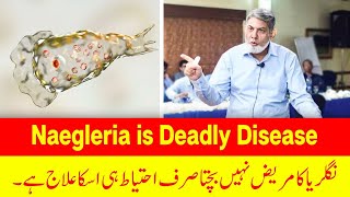 Naegleria  A deadly disease نگلیریا کی بیماری کیا ہے؟ [upl. by Alban]