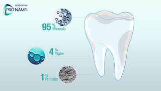 What Is Tooth Enamel  Pronamel® Toothpaste [upl. by Bein]