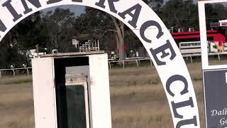 Goondiwindi31072021Race5 [upl. by Filippo]