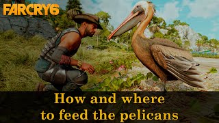 How and where to feed the pelicans  Shock Therapy  Far Cry 6 [upl. by Micky]