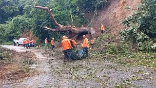 Cuadrillas municipales de Diriamba despejan vías tras caída de árboles en la carretera [upl. by Loesceke]