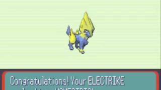 pokemon electrike evolves in pokemon sapphire [upl. by Sobmalarah]