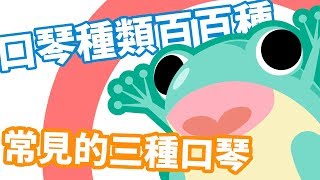 【口袋琴房】 如何挑選自己的「第一把」口琴 [upl. by Christian333]