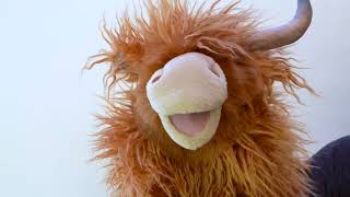 Folkmanis® Highland Cow Puppet Demo [upl. by Esnohpla]