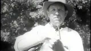 Great Smoky Mountains National Park 1936 [upl. by Muns577]