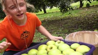 Valu Home Centers  Bobbing for Apples [upl. by Alletneuq]