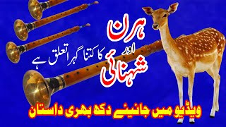 Aik din hmi k sath  Hafiz Mazhar Iqbal ShehnaiArtistPrabhat TansenAcademyMusic [upl. by Mukul188]