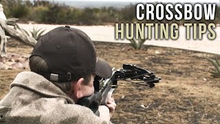 First Time Crossbow Hunting Tips [upl. by Ydac]