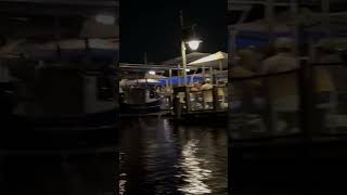 AMPHICAR EXPERIENCE AT DISNEY SPRINGS PT 2 disney car boathouse trending like subscribe [upl. by Krid]