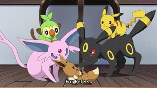 Eevee cute moments  pokemon journeys ep 79 [upl. by Annelg197]