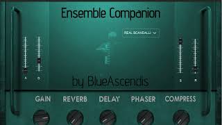 VST 21 Voices Ensemble Companion [upl. by Dnarud]