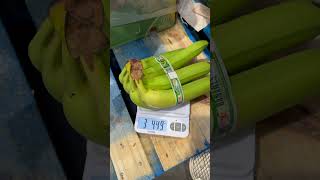 Costco vs Scale  Bananas banana bored groceryshopping [upl. by Erdne]