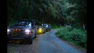 Trail run through the Olympics with a couple of Raptors [upl. by Maurer787]