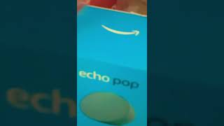 Is a Alexa echo pop alexa bot [upl. by Yrotciv]