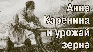 «Анна Каренина» – книга о вкусной и здоровой пище Зерно [upl. by Yaker223]