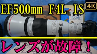 EF500mm F4L IS IIが故障した。超望遠レンズに求められる必須の機能とは何か？ミラーレス時代の超望遠レンズ選びのポイント。 [upl. by Ahsenroc]