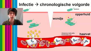 Vwo 56  Biologie  Afweer H1621  6 Humorale immuniteit  totaaloverzicht imuunrespons §3 [upl. by Leith]