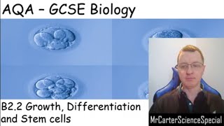 B22  Growth Differentiation and Stem Cells  AQA Biology GCSE 91 [upl. by Eitteb]