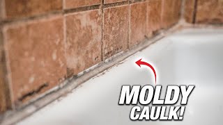 How To Remove And Replace Moldy Shower Caulk DIY [upl. by Eckart]