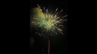 Freak Out  AWPI36FO  Wisley Pyrotechnics Inc  Fireworks [upl. by Ahsinar]