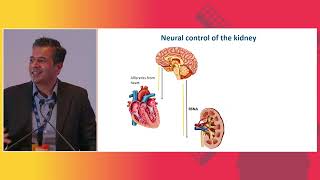 MCS with Impella CP Reduces Renal Sympathetic Nerve Activity in CS  Rohit Ramchandra PhD [upl. by Nylesor871]