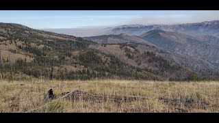 Idaho elk and deer hunt 2024 [upl. by Inalel]